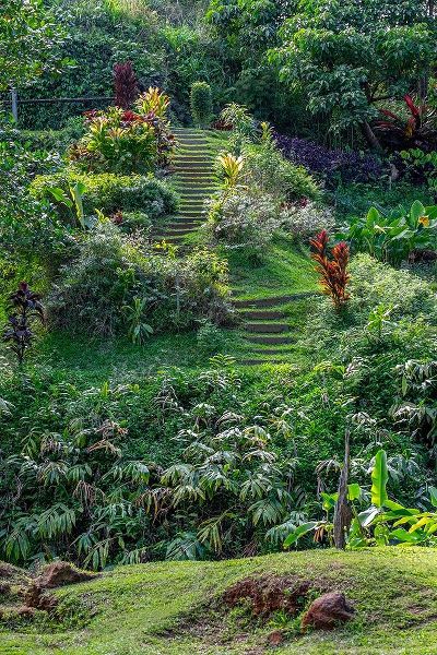 Princeville Botanical Garden-Princeville-Kauai-Hawaii